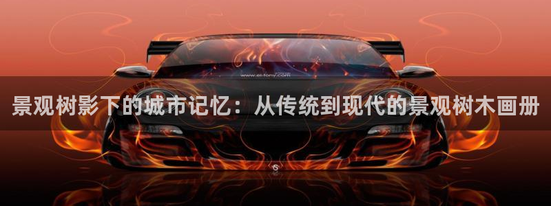 卧龙娱乐老板