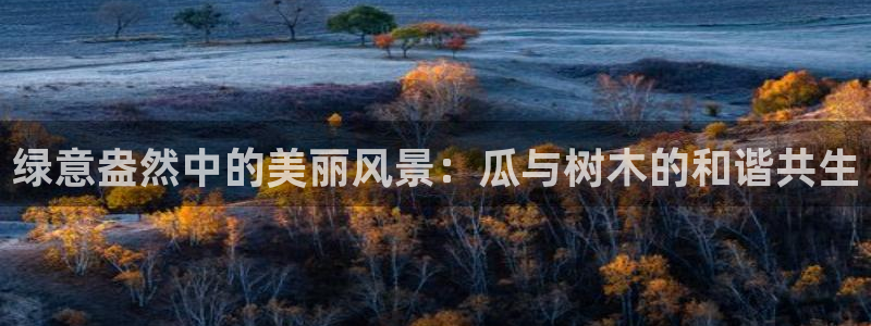 卧龙娱乐集团官网：绿意盎然中的美丽风景：瓜与树木的和谐共生