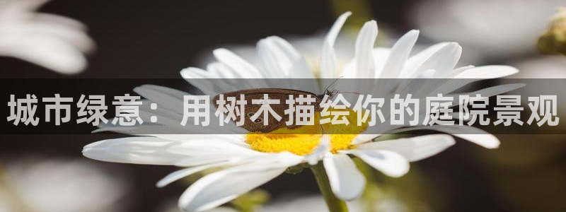卧龙湾儿童娱乐项目价格