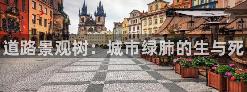 ta娱乐 卧龙主管60447