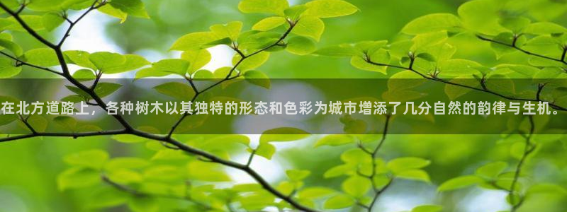 卧龙娱乐彩票app