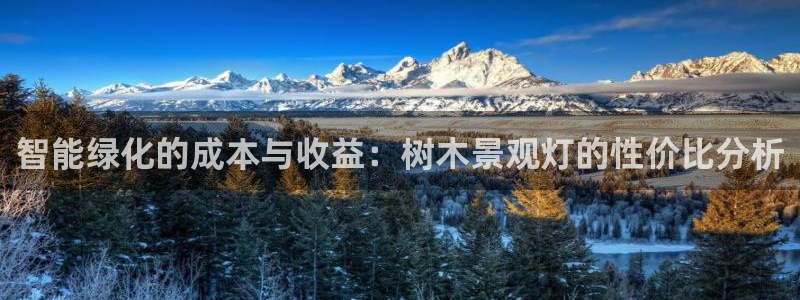 卧龙娱乐彩票官网下载