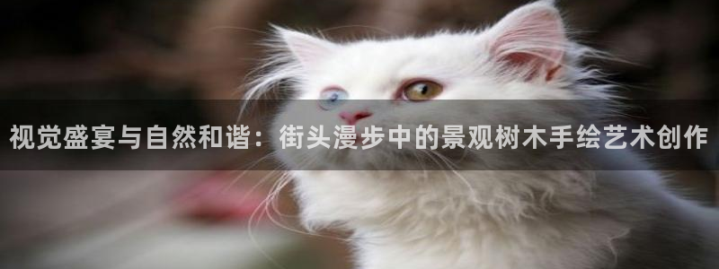 卧龙娱乐挂机平台