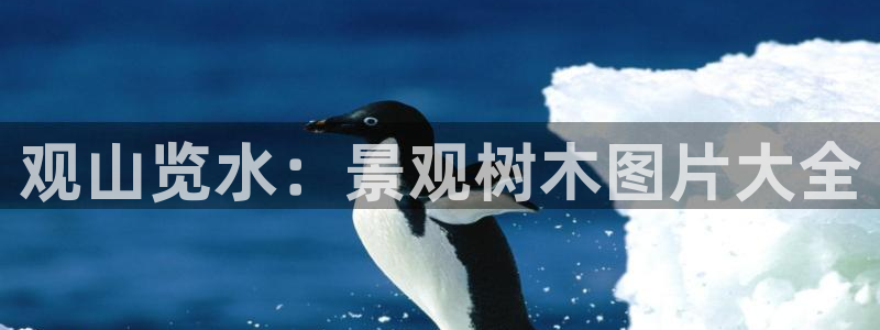 卧龙台球娱乐会所翔安