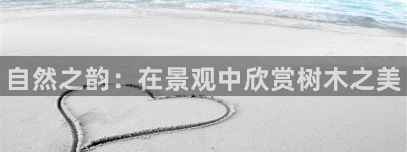 卧龙沙滩蹦床娱乐
