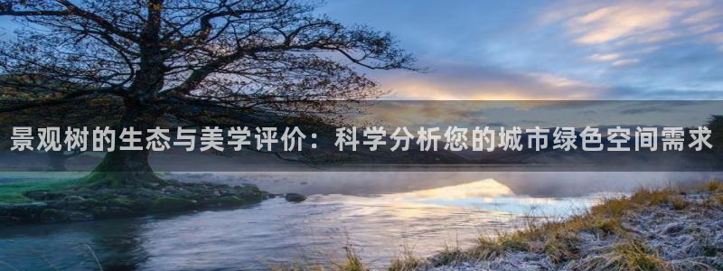 fans娱乐卧龙凤雏