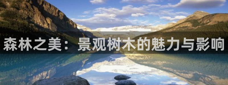 卧龙2神机娱乐攻略