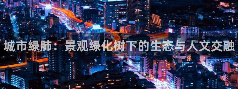卧龙环岛儿童娱乐