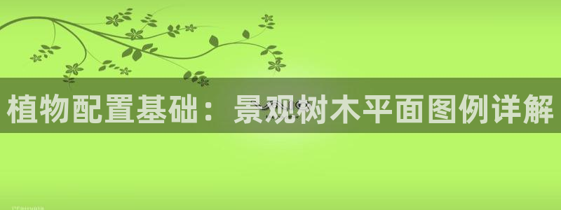 卧龙娱乐后