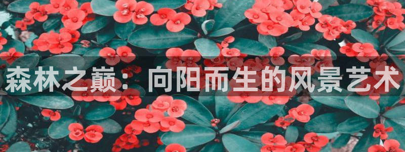 ta娱乐 卧龙主管60447