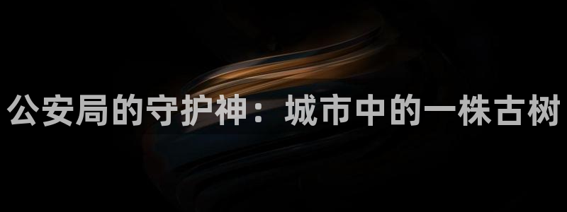 南阳卧龙娱乐会所评价