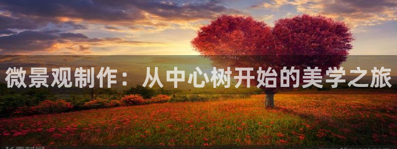 卧龙娱乐怎么注册新账号：微景观制作：从中心树开始的美学之旅