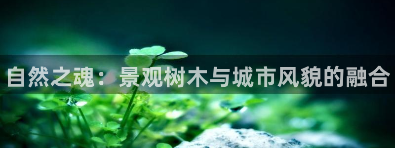 卧龙岗娱乐馆：自然之魂：景观树木与城市风貌的融合