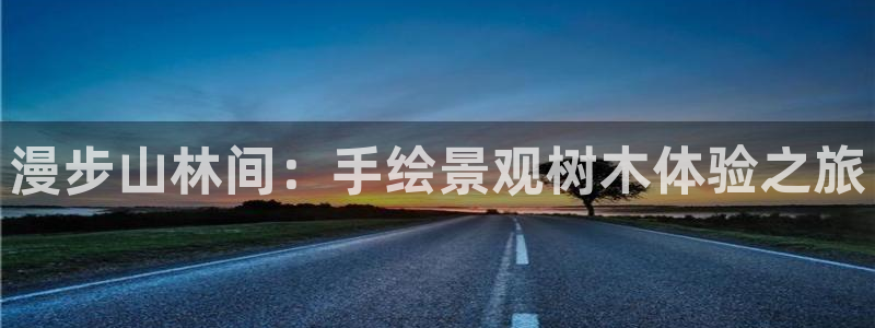 卧龙娱乐主管是谁呀
