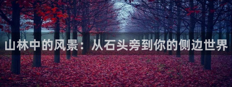 hr娱乐 卧龙主管60447