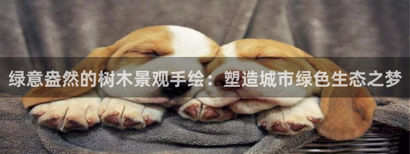 卧龙娱乐在线下载