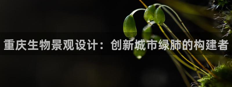 卧龙湾娱乐会所