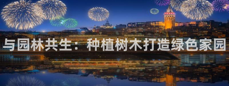 卧龙环岛儿童娱乐