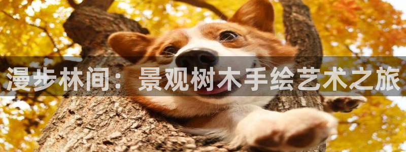 卧龙娱乐左7O667