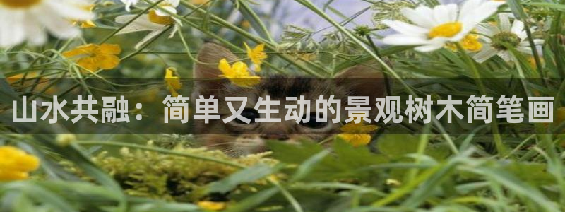 卧龙湾娱乐项目有哪些