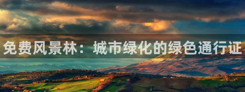 E彩娱乐 卧龙主管60447