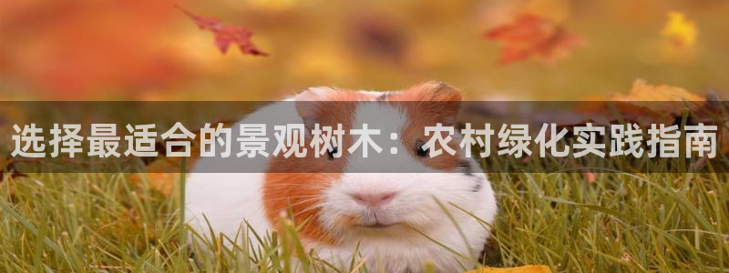 卧龙娱乐是哪个系列