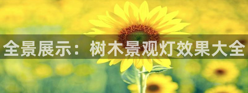 卧龙湾儿童娱乐项目价格