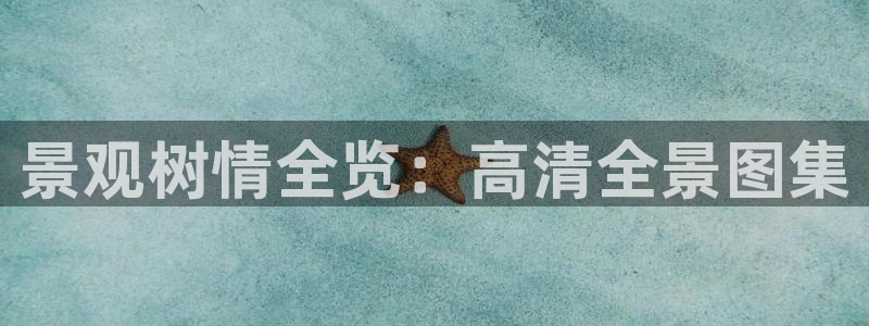 E彩娱乐 卧龙主管60447