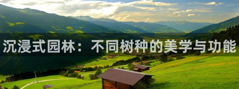 卧龙环岛儿童娱乐