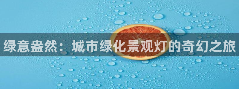 卧龙凤雏娱乐减肥