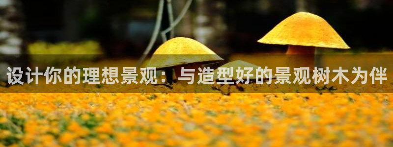 卧龙湾娱乐设施