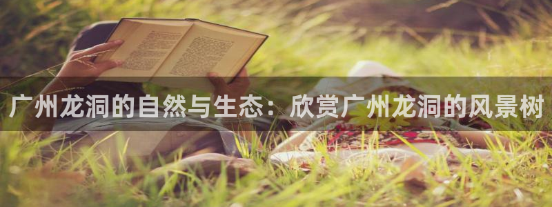 辣椒娱乐卧龙凤雏