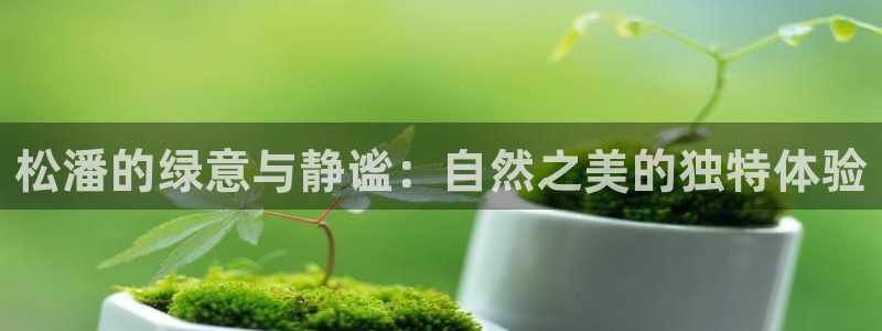 卧龙娱乐app下载