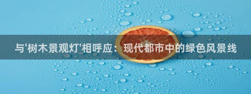卧龙沙滩蹦床娱乐