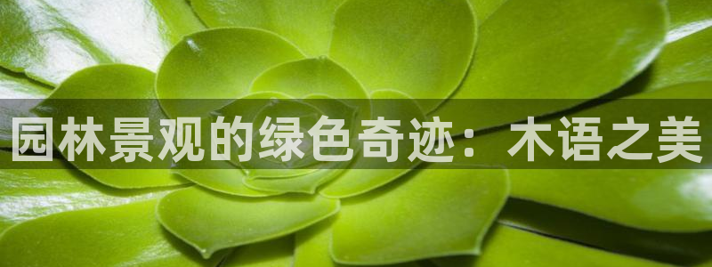 卧龙娱乐招商：园林景观的绿色奇迹：木语之美