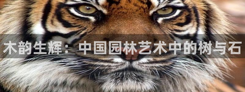 卧龙娱乐app彩票