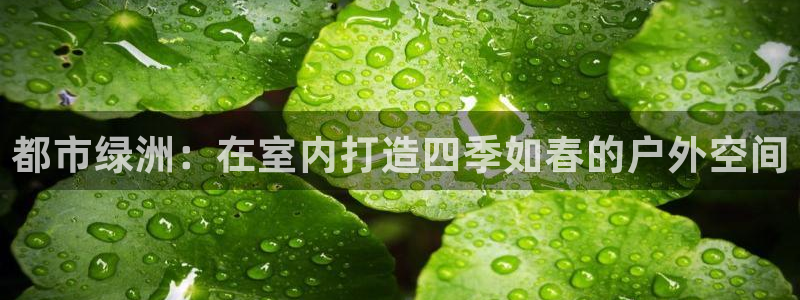 卧龙吟娱乐玩法