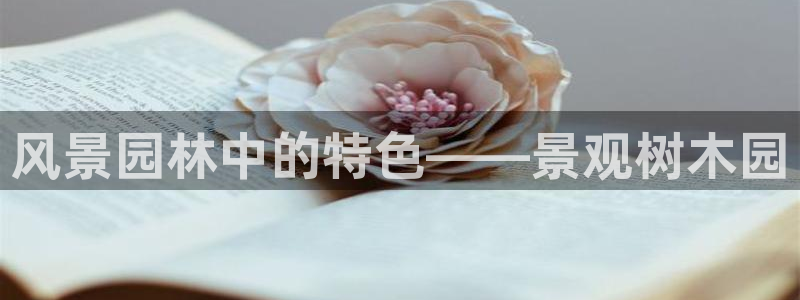 绥阳卧龙湖娱乐场所