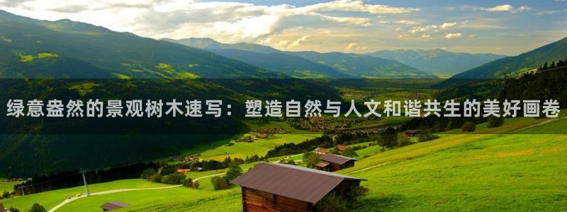 卧龙区维也纳娱乐会所：绿意盎然的景观树木速写：塑造自然与人文和谐共生的美好画卷