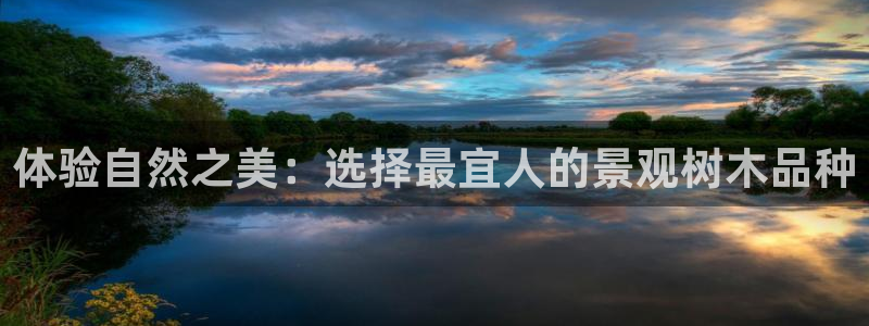 肥羊娱乐卧龙凤雏