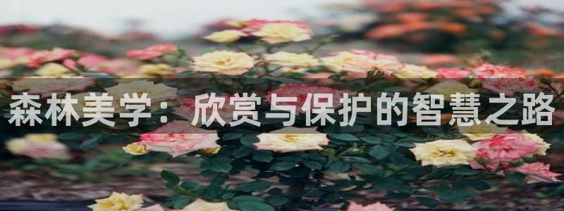 卧龙娱乐天7O667