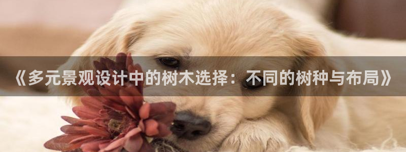 卧龙沙滩娱乐