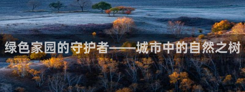 卧龙区微微娱乐商城