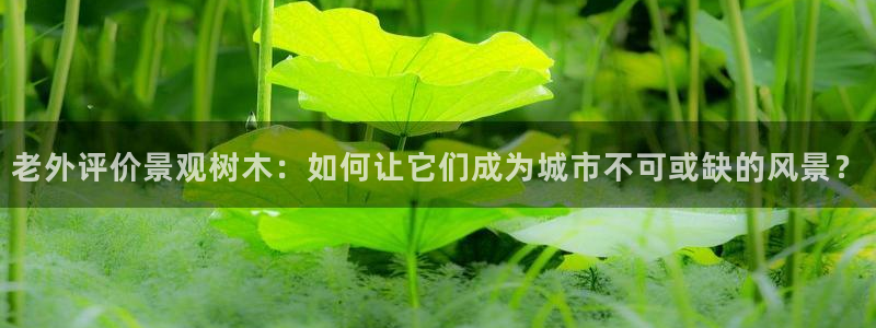 卧龙娱乐招商主管工资