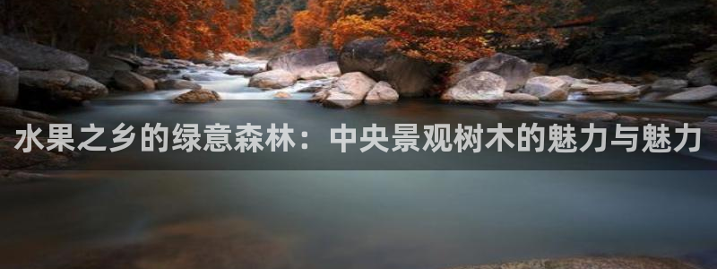 卧龙娱乐找382223