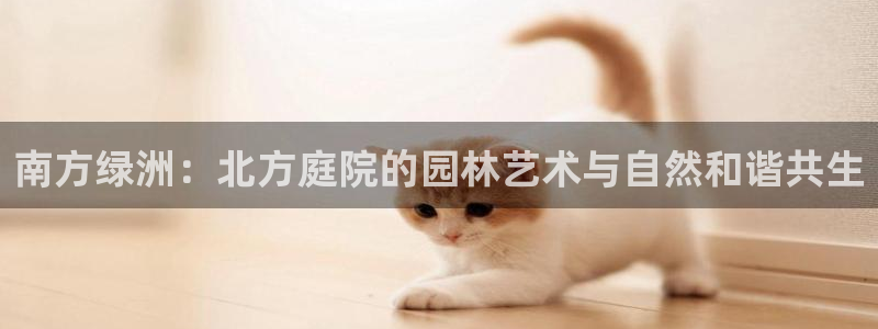卧龙娱乐后