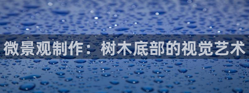 卧龙湾娱乐购票