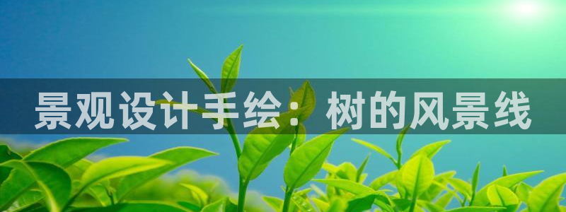 qq娱乐 卧龙招商60447