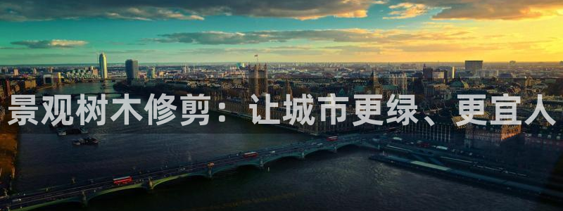 卧龙娱乐属于什么行业