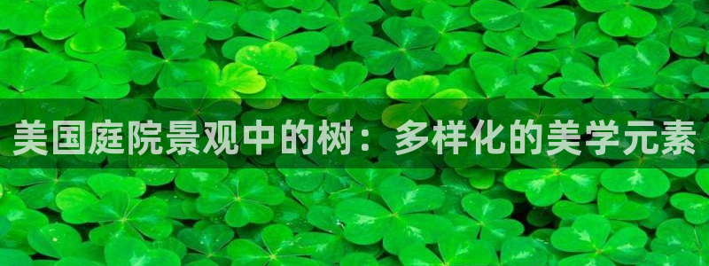 卧龙娱乐322901